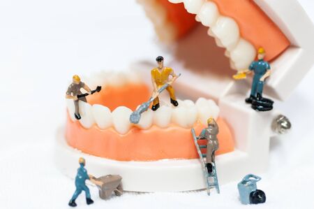 Gum and teeth health conception. Selective focus miniature people working on teeth model,の写真素材