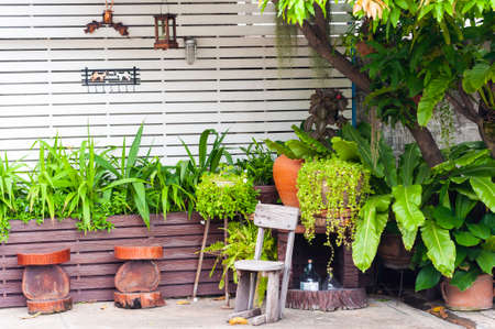 Mini garden vintage plants and clay pot decoration, relax and fresh zone,の写真素材
