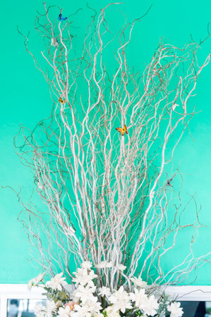 White dry branch home interior with pastel color.の写真素材