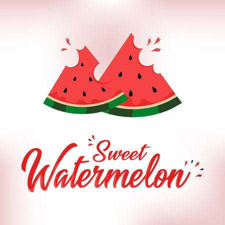 Fresh and juicy slice watermelon. Summer fruit design.のイラスト素材