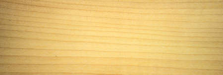 Texture of hard maple veneerの写真素材
