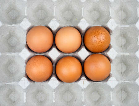 Six eggs in paper trayの写真素材