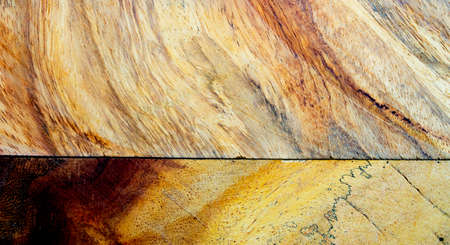 Different texture of cutting woodsの写真素材