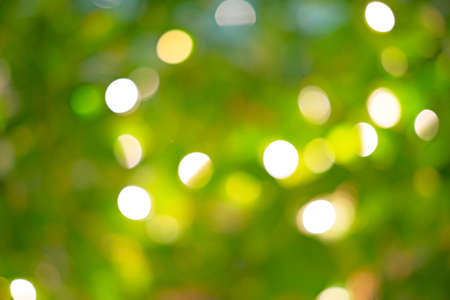 Close up and out of focus lighting on treeの写真素材