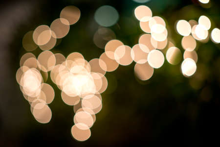 Close up and out of focus lighting on treeの写真素材