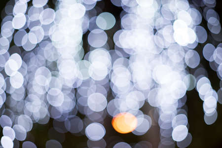 Out focus and blur of light under the tree at night timeの写真素材
