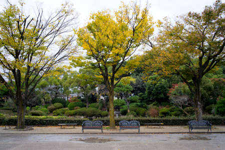 Japanese park and garden in Autumn atmosphere at Kyoto.の写真素材