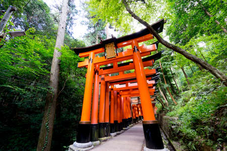 Kyoto, Japan - July 22, 2016 : The front of red ancient arch gate in forest at Fushimi Inari Taisha shrine in Kyoto, Japan.のeditorial素材