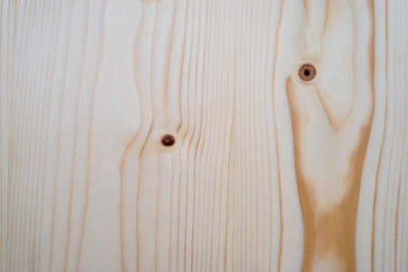 Close up texture and pattern of pine wood sheet.の写真素材