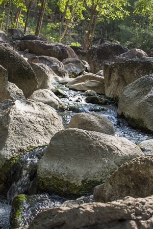 River deep in mountain forestの写真素材