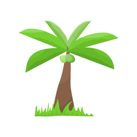 coconut tree element illustration vector. flat illustration designのイラスト素材