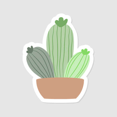 Cute aesthetic mini cactus sticker. Isolated Illustration. Flat style. Scalable and editable vector format.のイラスト素材