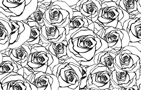 Pattern with roses black and whiteのイラスト素材