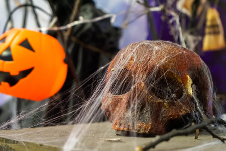 A human skull on a table shrouded in cobwebs with a pumpkin in the background. High quality photoの写真素材