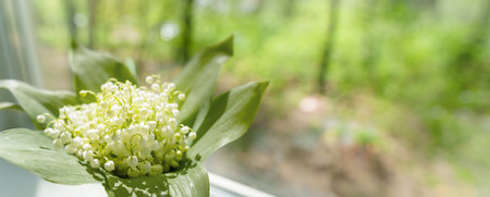 Lily of the valley bouquet resting on windowsill with blurred green background