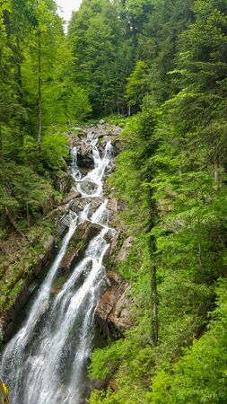 beautiful waterfall in the green forest. Waterfall in the rainforest of Russia. nature near Sochi, Waterfall green forest river stream landscape.の写真素材