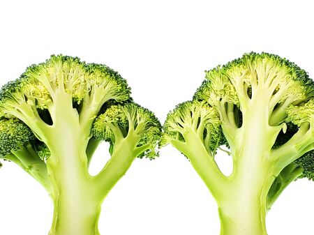 two sliced broccoli sprigs on a white background close up.の写真素材