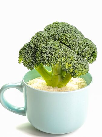 still Life with fresh green broccoli in a ceramic Cup on a white background.の写真素材