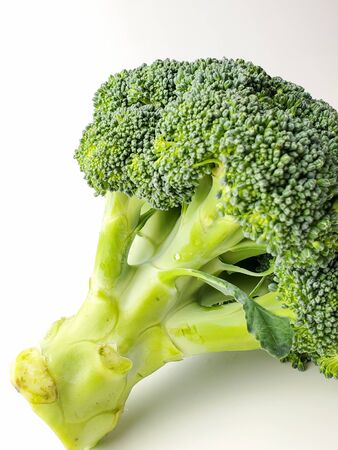 Fresh broccoli isolated on a white background. Green broccoli.の写真素材