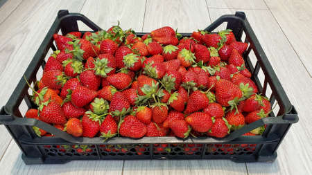 A box of red ripe strawberries with green leaves, close-up. Fruit and food backgroundの写真素材