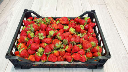 Close-up of red ripe strawberries. A box of strawberries on a light background. Ripe Summer Berries. Strawberry harvest. Strawberries are in the drawerの写真素材
