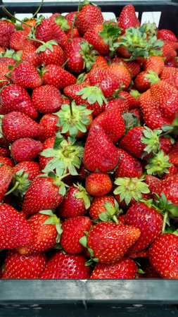 Plastic box full of ripe fragrant strawberries. Ripe large strawberries with green leaves. Top view. Close-upの写真素材