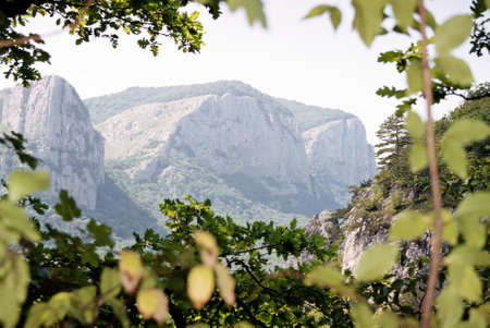 Summer in the mountainsの写真素材