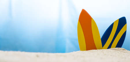 Tropical still life. Dawn on the sandy coast. Two surfboards on the beachの写真素材