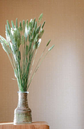 dried green flowers, spikelets in a whip vase on a beige background. dry grass in a transparent vase.の写真素材
