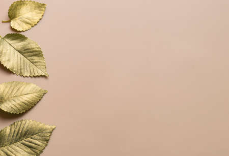 Leaves in gold paint on a beige background with a horizontal stripe on the left. Autumn concept. Top view of autumn leaves in gold paint on beige with copy space for your text to the right.の写真素材