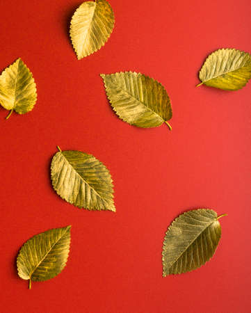 Golden autumn leaves on a red background. Autumn concept. Top view of autumn leaves in gold paint on red with copy space for your textの写真素材