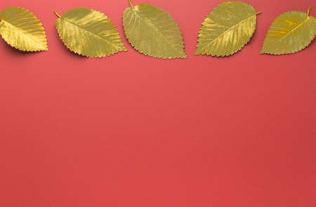 Golden autumn leaves in a horizontal frame on a red background. Autumn concept. Top view of autumn leaves in gold paint on red with copy space for your text at the bottom.の写真素材
