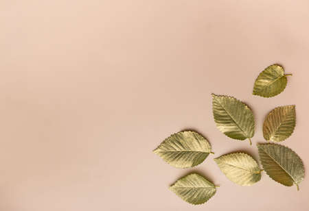 Leaves in gold paint on a beige background in the lower right corner. Autumn concept. Top view of autumn leaves in gold paint on beige with copy space for your text to the right.の写真素材