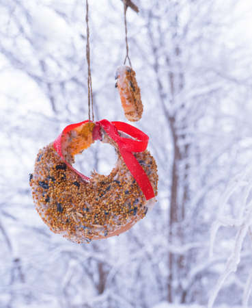 Homemade bird feeder in winter from seeds on apples and pumpkins.の写真素材