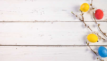 Colorful Easter eggs with spring bloom flowers and green leaves, on a white wooden background. Space for textの写真素材