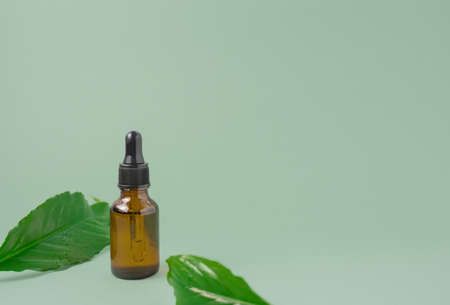 Serum, oil, lotion in a brown dropper bottle with green leaves, green background, copy space. spa...