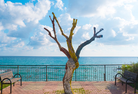 dry tree painted with bright colors on the embankment of Alanya Turkey. Decor on the streetの写真素材