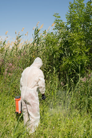 A man in a protective suit processes reeds using a poison sprayer. Weed killer. Destruction of grass, weed controlの写真素材