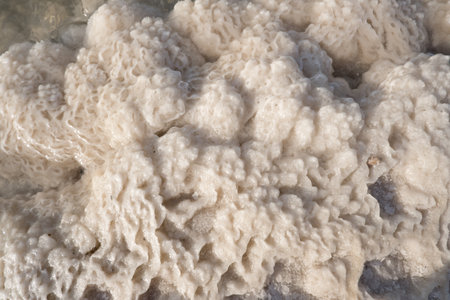 Close-up of naturally crystallized salt on the ground on the shore of the salt lake Baskunchak,...