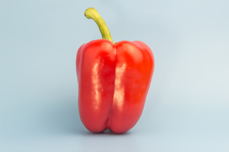 Red ripe Bulgarian pepper from a greenhouse on a blue backgroundの写真素材