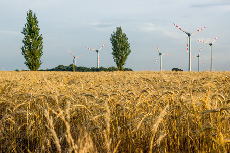 Alternative energy. The energy of the future. Wind generators on the field. Wheat field. Europe. Austria. Evening.の写真素材