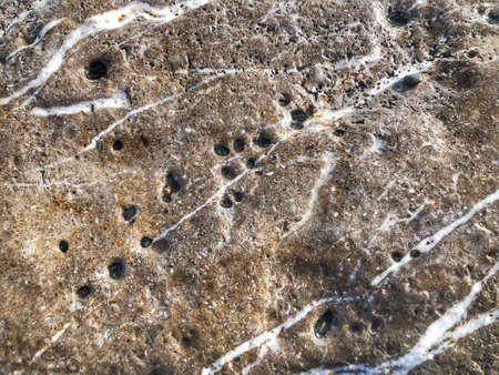 Close - up details of the stone, the texture of the stone, the surface of the stone and the background.の写真素材