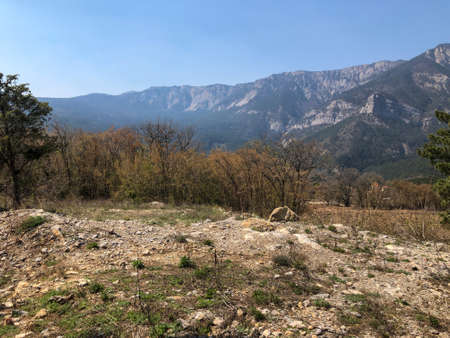 beautiful view of the mountains and dry vineyards.の写真素材