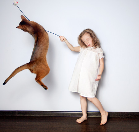 the little girl has fun playing with a catの写真素材