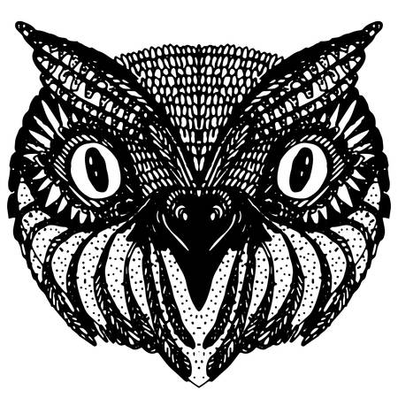 Owl head Doodle hand drawn on white background. のイラスト素材