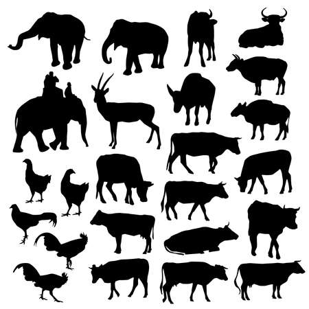 silhouettes of elephants cows bulls chickens, deer on white background. vectorのイラスト素材