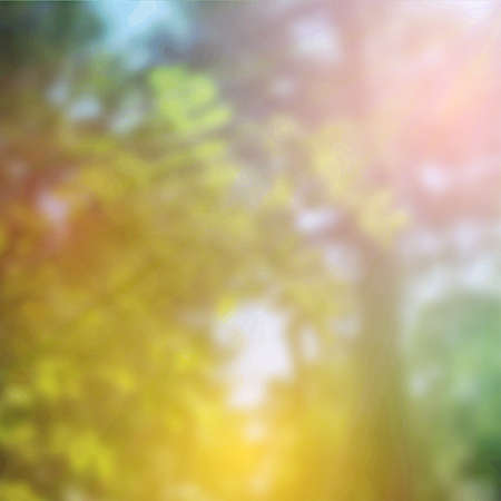 summer design, forest trees, nature green wood sunlight background. Vector illustrationのイラスト素材