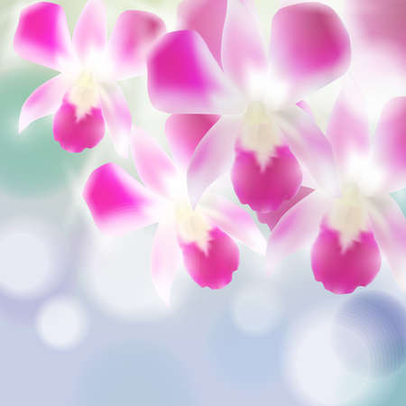 Beautiful Orchids on blurred blue background. Vector illustrationのイラスト素材