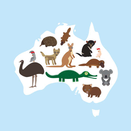 map of Australia. Echidna Platypus ostrich Emu Tasmanian devil Cockatoo parrot Wombat crocodile kangaroo dingo. Vector illustrationのイラスト素材