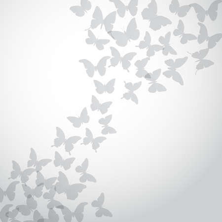 Abstract gray Butterfly Background on white background. Vector illustrationのイラスト素材